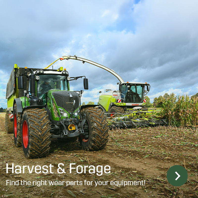 Tractor with trailer driving alongside a self-propelled forage harvester cutting maize and blowing the material into the trailer. The image shows forage harvesting in the field using machinery for which Sagros supplies wear parts and spare parts.